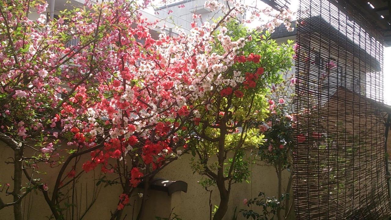 禅林寺三休荘町家度假屋 度假居 *